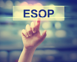 company valuation for ESOP issuance 3