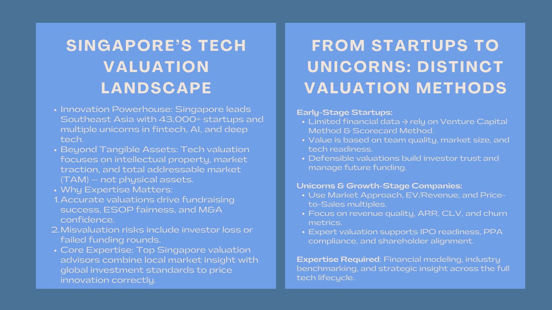 Top Tech Company Valuation Experts in Singapore